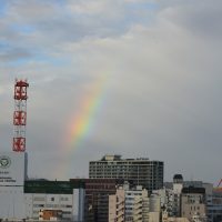 虹